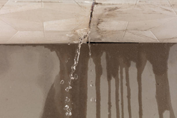 Professional Structural Drying technician working in Greenville, GA